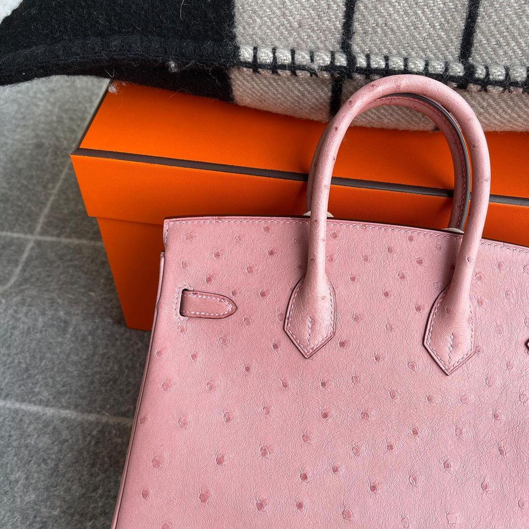 Hermès Birkin 25 Devekuşu Deri Pembe Terrakotta Altın Donanımlı (GHW) - Glimmer of Luxury