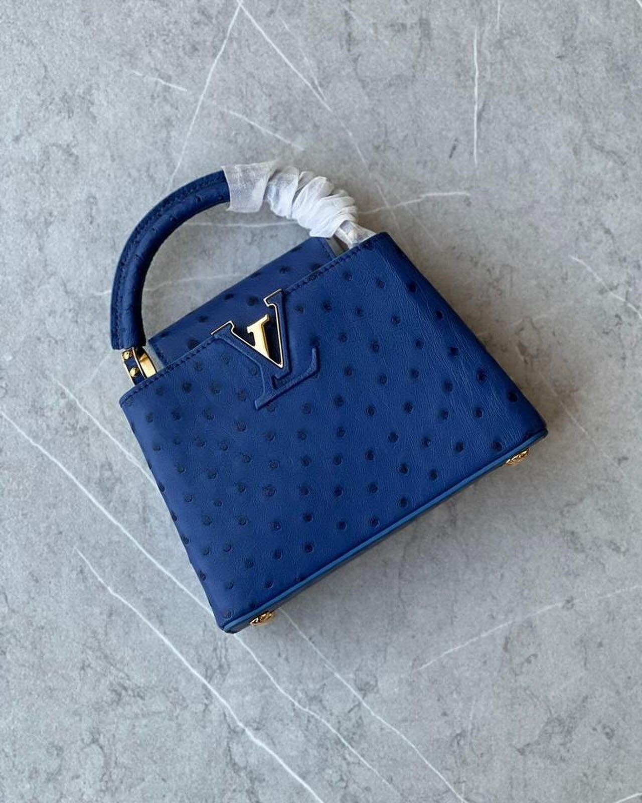 LV Capucines Deve Kuşu Derisi Çanta - Glimmer of Luxury