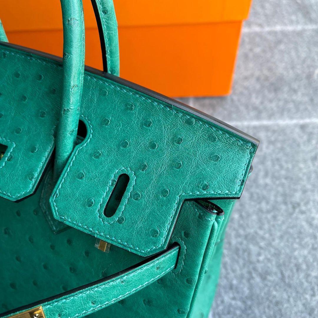 Hermès Birkin 25 Devekuşu Deri Vertigo Yeşil Altın Donanımlı (GHW) - Glimmer of Luxury