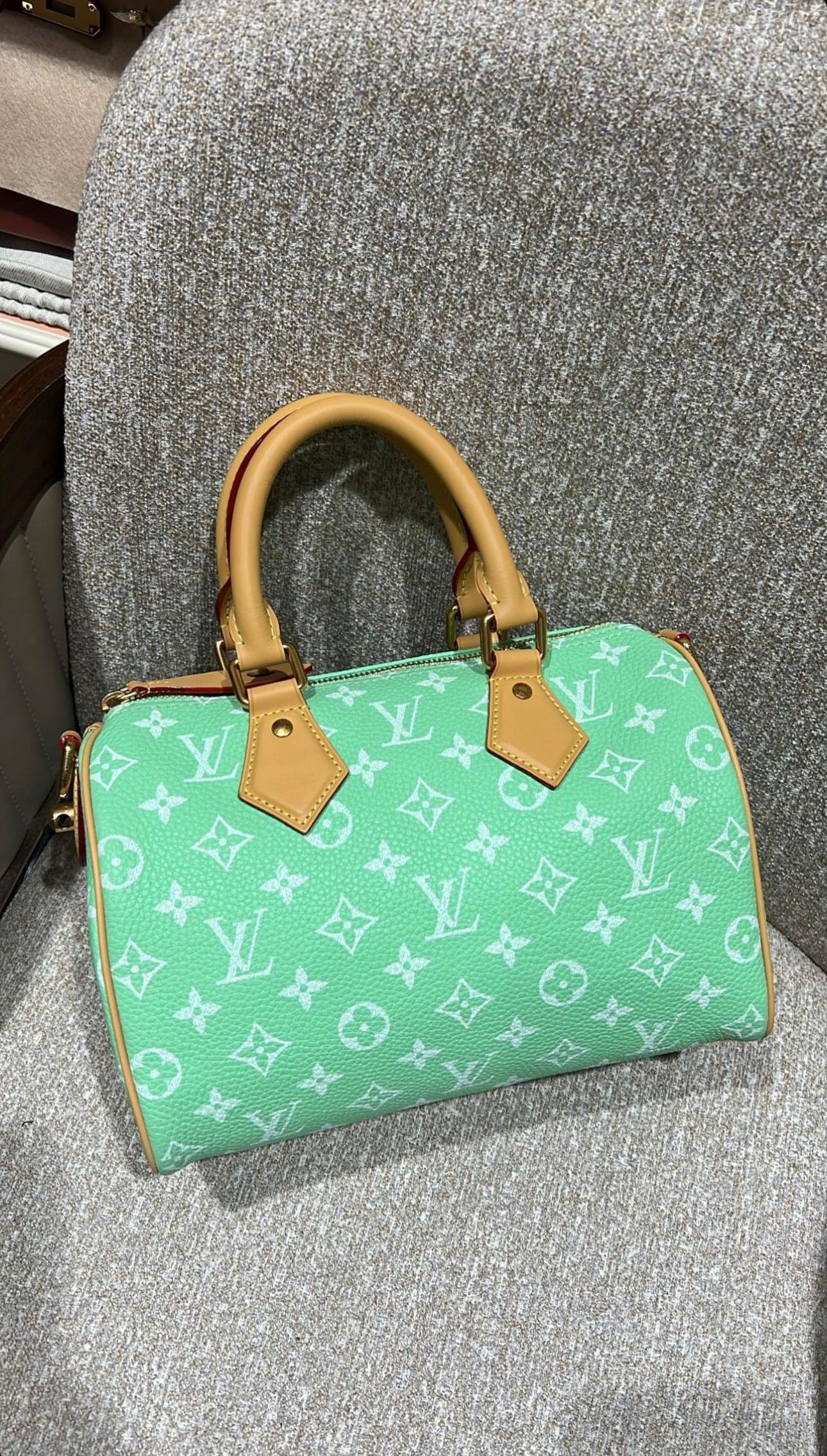 Louis Vuitton Speedy Bandoulière 25