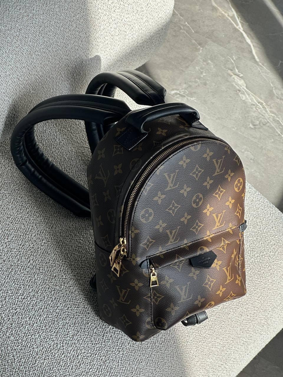 Louis Vuitton Monogram Canvas Palm Springs PM Backpack