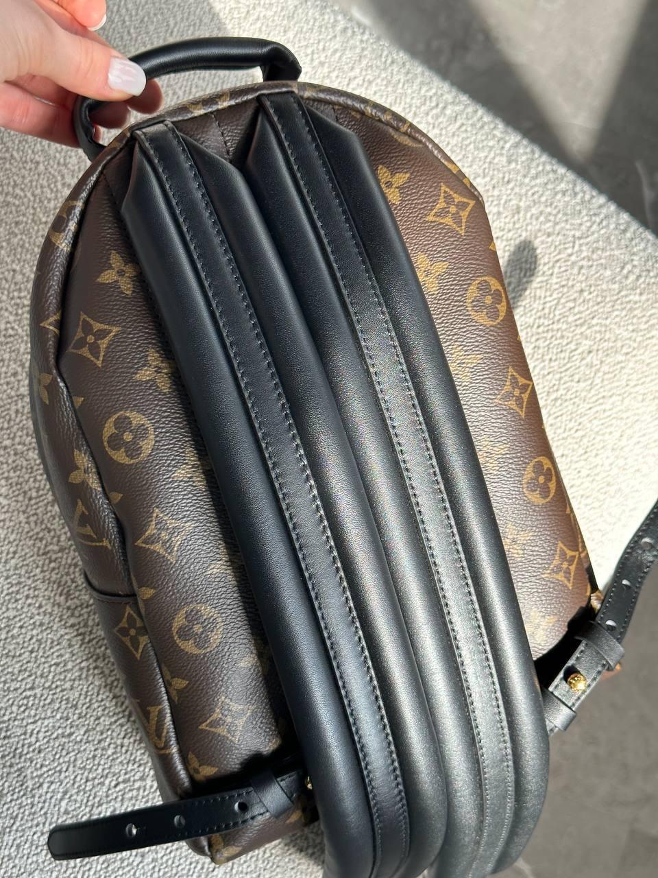 Louis Vuitton Palm Springs Mini Monogram Kanvas Çanta