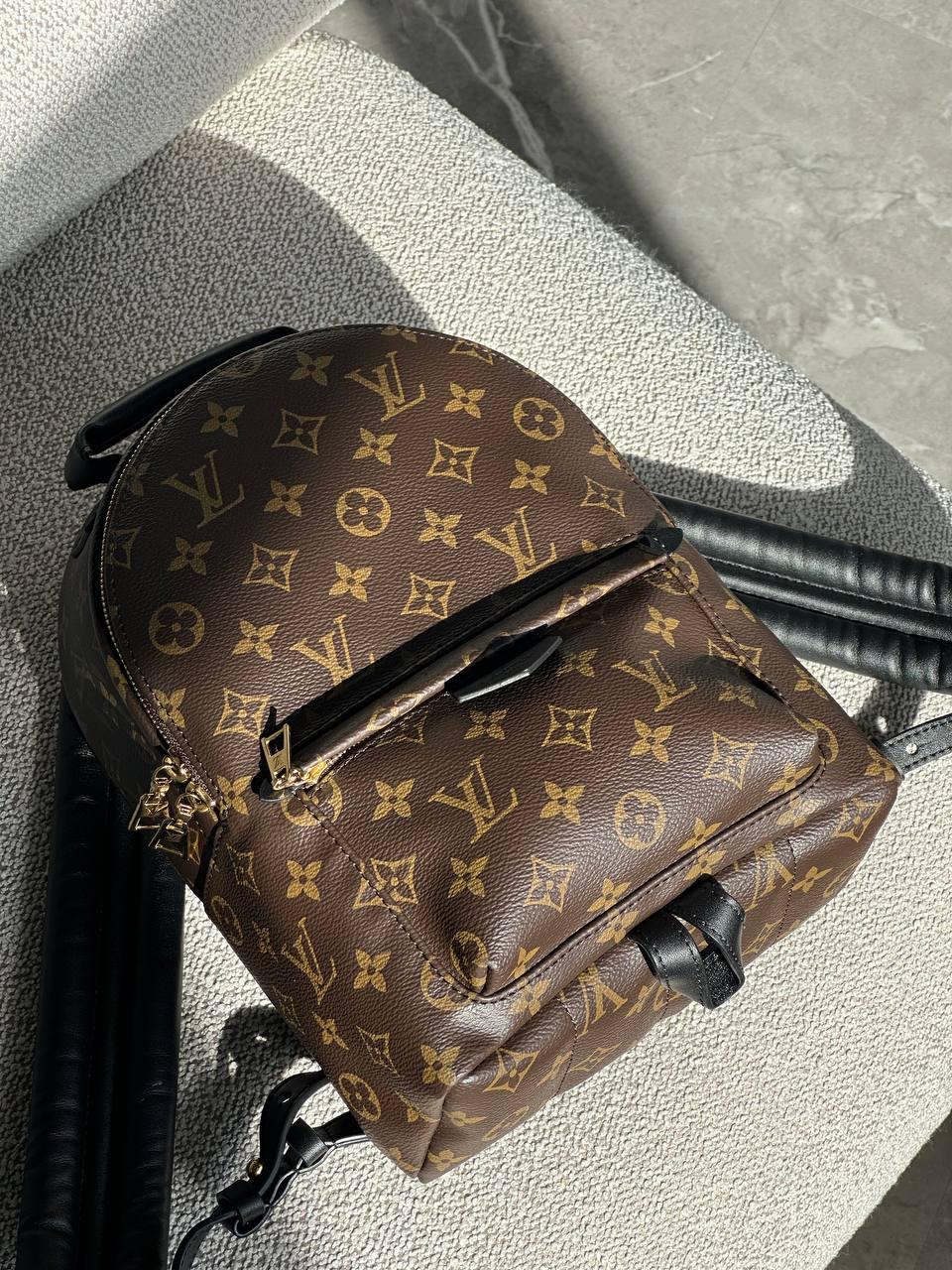 Louis Vuitton Monogram Canvas Palm Springs PM Backpack