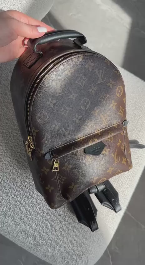 Louis Vuitton Monogram Canvas Palm Springs PM Backpack